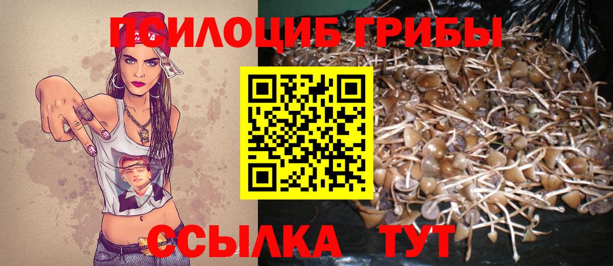 Псилоцибиновые грибы мухоморы Волжск