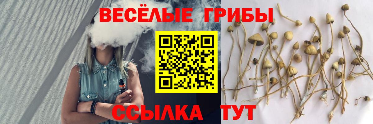 Галлюциногенные грибы ЛСД  Вход с VPN  Галлюциногенные грибы MAGIC MUSHROOMS  Волжск 